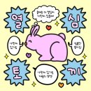 주안24시 이미지