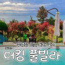 웰컴주유소 | 더킹풀빌라 경주 오션 더 스위트 1박 2일 솔직 후기 🌊