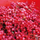 사격장길 이미지