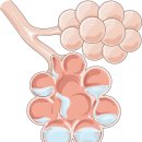 허한의원 이미지
