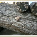 재남농장 이미지