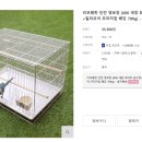 주식회사 리프패럿 네이버블로그
