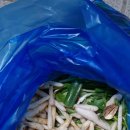 곡성산림마트 이미지