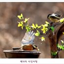 아름다운연출