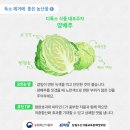 신토불이축산 티스토리
