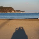 등푸른수산