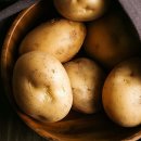 포근포근 이미지