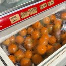 청도 지오 오토캠핑장 | 청도 힐링 오토캠핑장 솔직 후기 장단점·사이트·시설 총정리