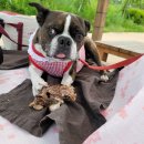 멈무아지트 이미지