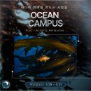 [OCEAN CAMPUS 해양활동단] 5월 1회차 영덕·울진 바다청년 프로젝트 현장기록