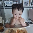 모담미담
