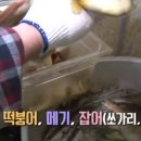 동가룰가든 이미지