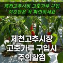 제천고추시장 이미지