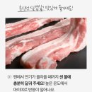 마이야르 이미지