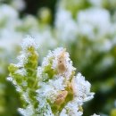 선근이네 이미지