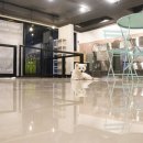 도그비잉 펫케어 이미지