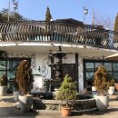 커피마마 안면도점 | 안면도 태안 분위기 좋은 카페 추천 트래블 브레이크 커피 꼭 가봐야할 곳