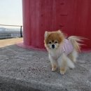 로이종합동물병원 이미지