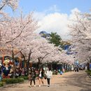 (주) 서울랜드 이미지