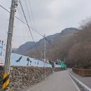 둥주리봉 Daum카페
