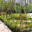 인천부현동초 이미지