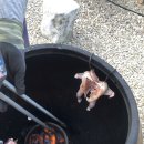 곰천계곡민박 이미지
