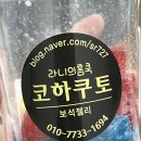 코하쿠토 파는 곳 추천 💎 머랭쿠키 후기 [라니의홈쿡]