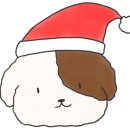 호야펫살롱 이미지