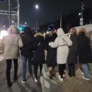 제주도화 - 99004 | 제주도화