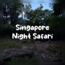 a some day | 싱가포르 여행 | 아이와 함께한 나이트 사파리 간단 후기