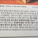안재식당 이미지