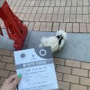 애드펫동물병원 이미지