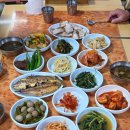25 | 전남 강진 백반 점심 25시 해장국 후기