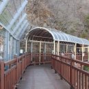 대강생활체육공원 이미지