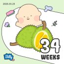 서약국 | 삼성서울병원 분만 후기 #02(조기양막파열, 고위험산모집중치료실, 자연분만, 미숙아, 신생아중환자실)