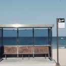 송지호해변(중앙) 이미지