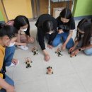 동안초등학교 이미지