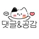 파올로데마리아(Paolodemaria) 이미지