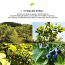 예성유기농