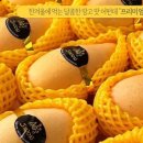 (주)골드브릭스 이미지