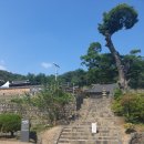 세종 비암사