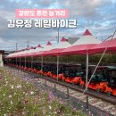 강원도 춘천 가볼만한곳 놀거리 김유정 레일바이크 솔직후기