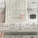 썸머힐유치원 이미지