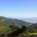 곡성-039 이미지