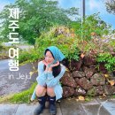 표선면 구룡밭식당 앞 | 제주도 유명한 곳들 다 가봄. (근처 현지 맛집 추천)
