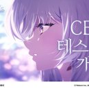 815카라이프 이미지
