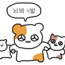 축하하개 이미지