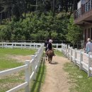 서울승마힐링캠프 이미지