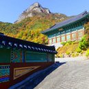 김기서 효자정려 이미지
