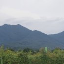 양서농협 앞 이미지